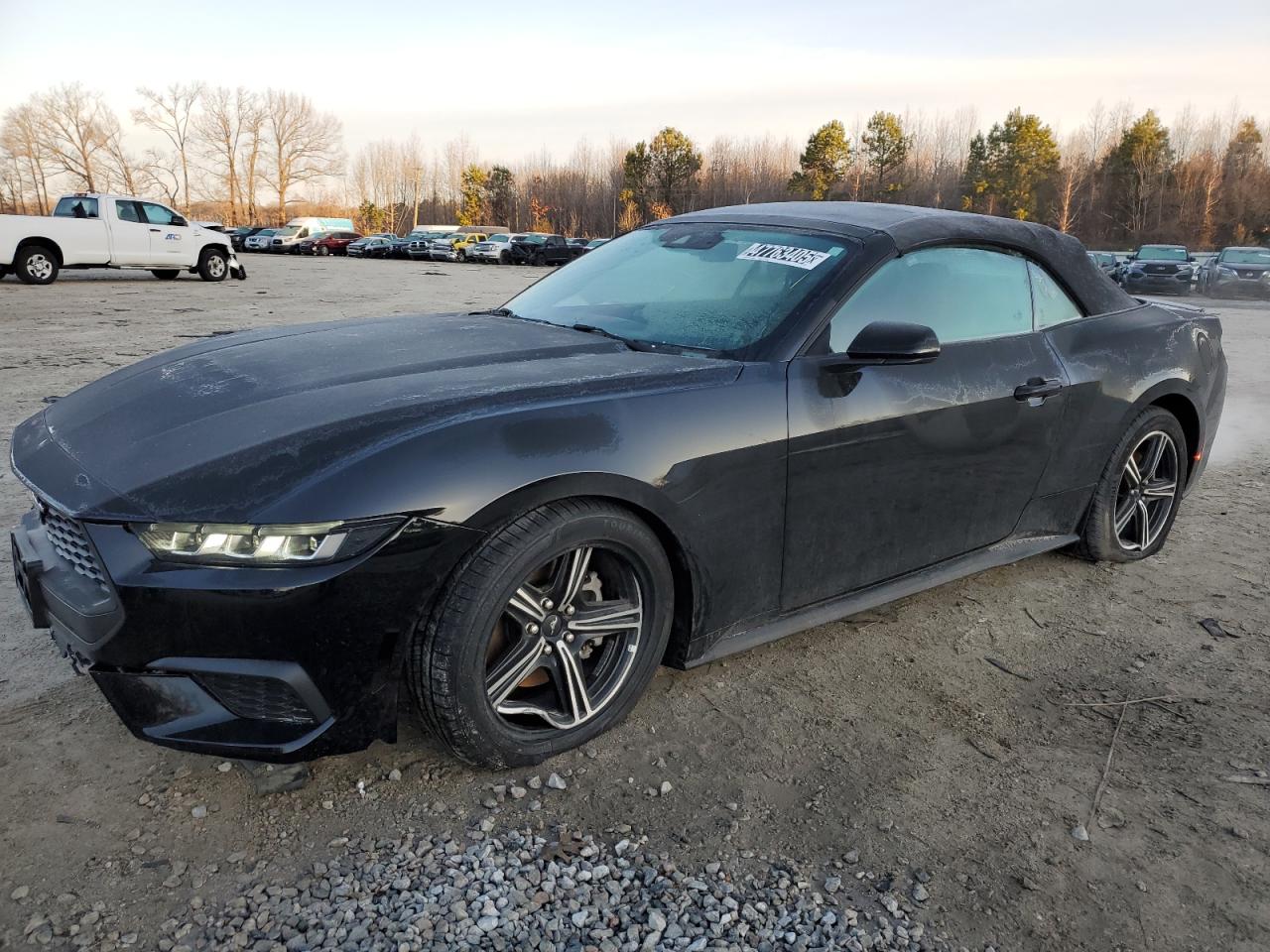 FORD MUSTANG 2024