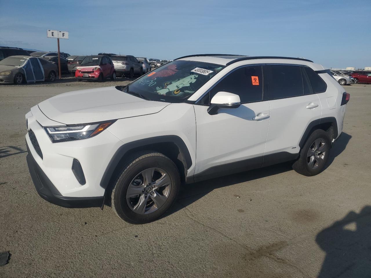 TOYOTA RAV4 XLE 2024