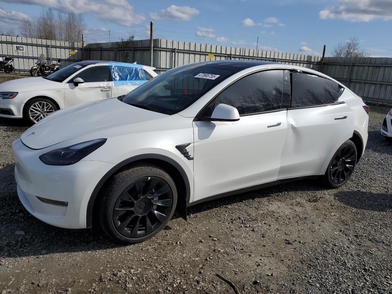 TESLA MODEL Y 2023