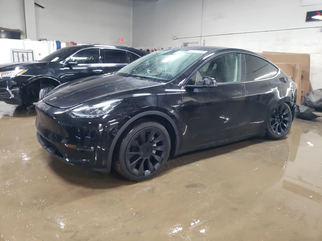 TESLA MODEL Y 2024