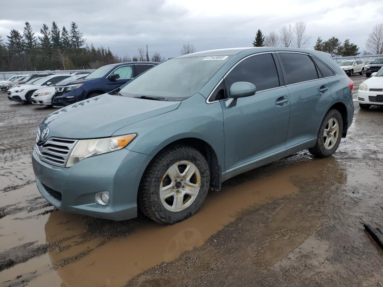 TOYOTA VENZA 2009