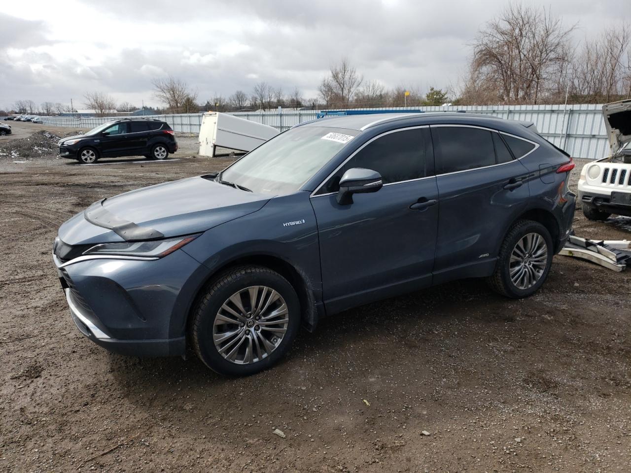 TOYOTA VENZA LE 2021