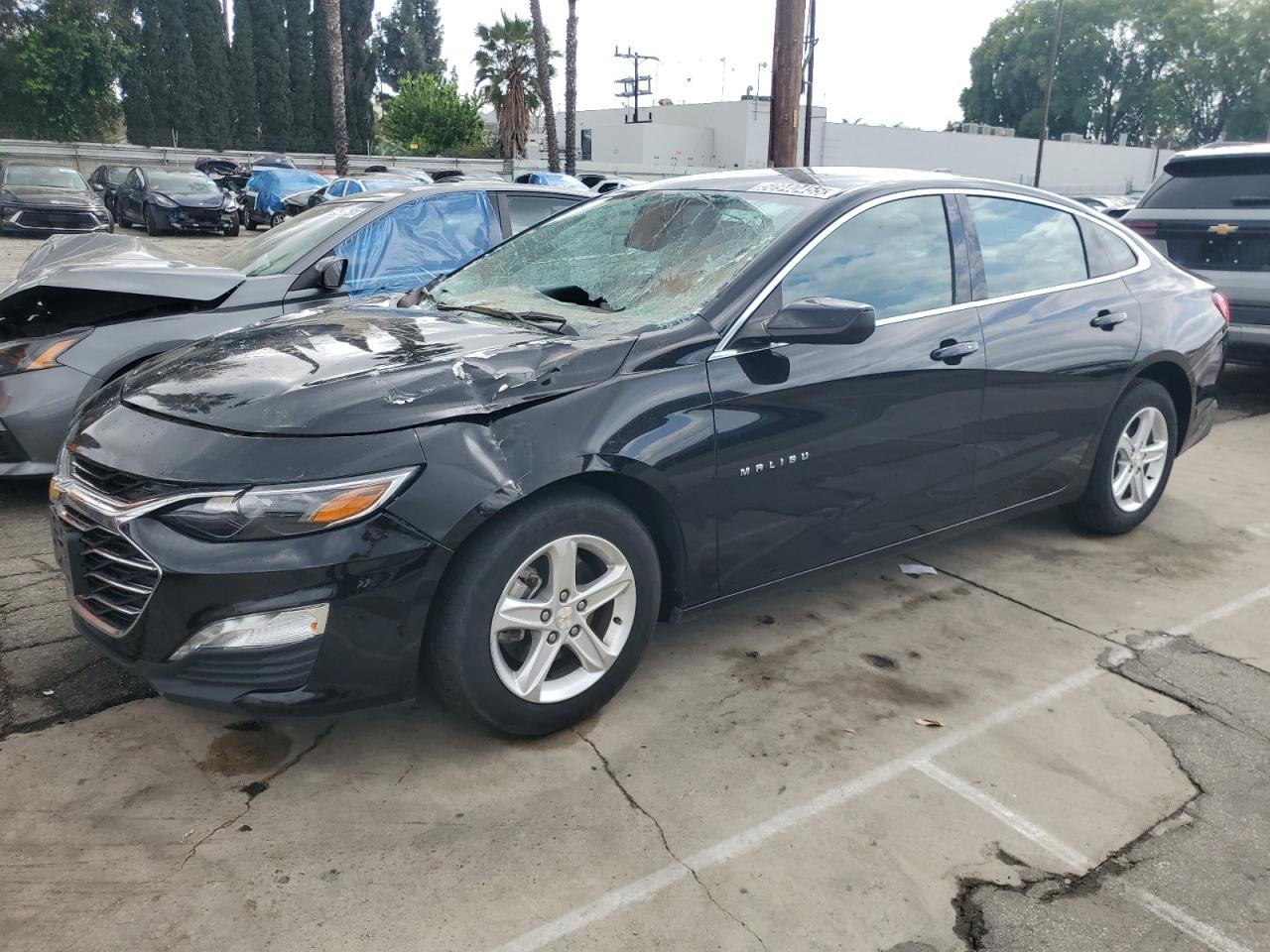 CHEVROLET MALIBU LT 2023