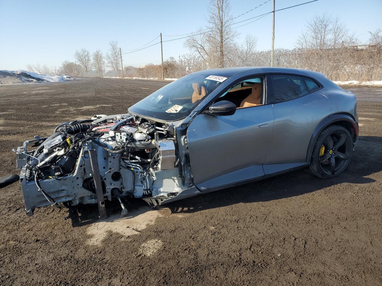FERRARI PUROSANGUE 2024