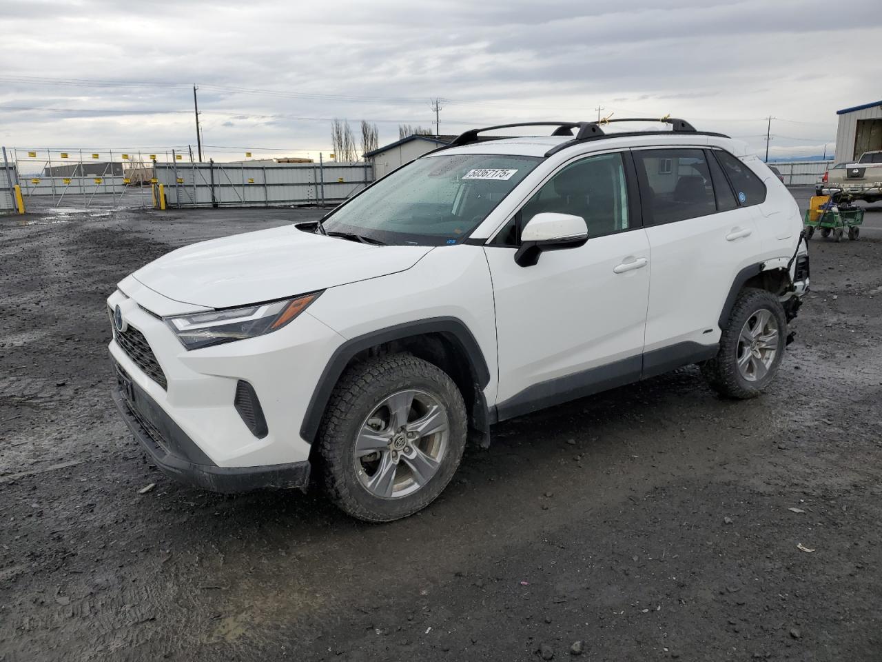 TOYOTA RAV4 LE 2024