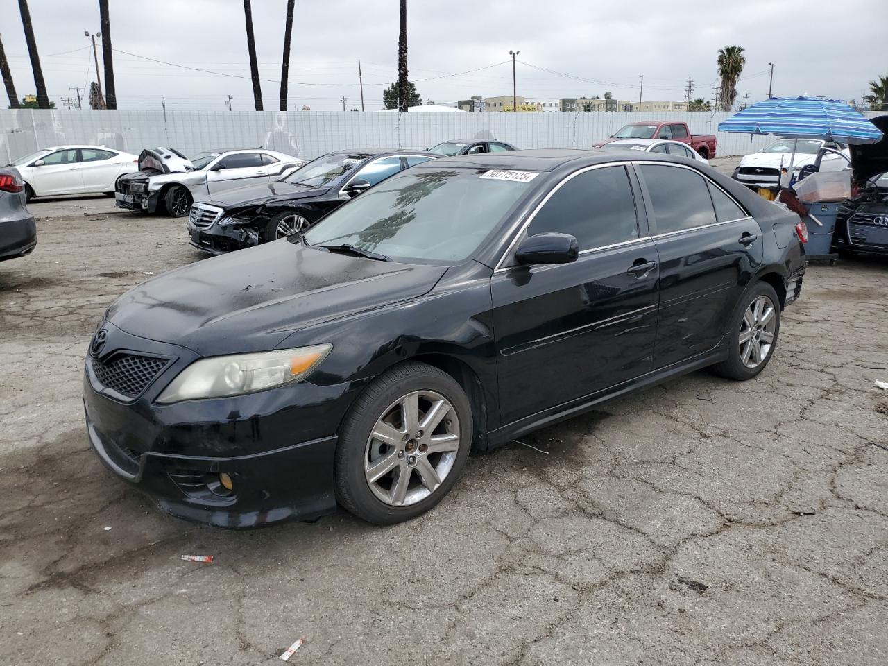 TOYOTA CAMRY BASE 2011