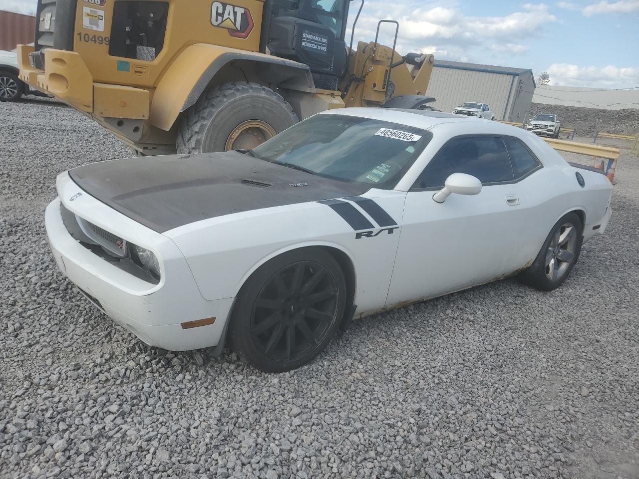 DODGE CHALLENGER 2010
