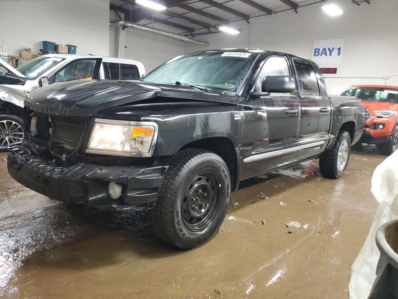 DODGE DAKOTA LAR 2011