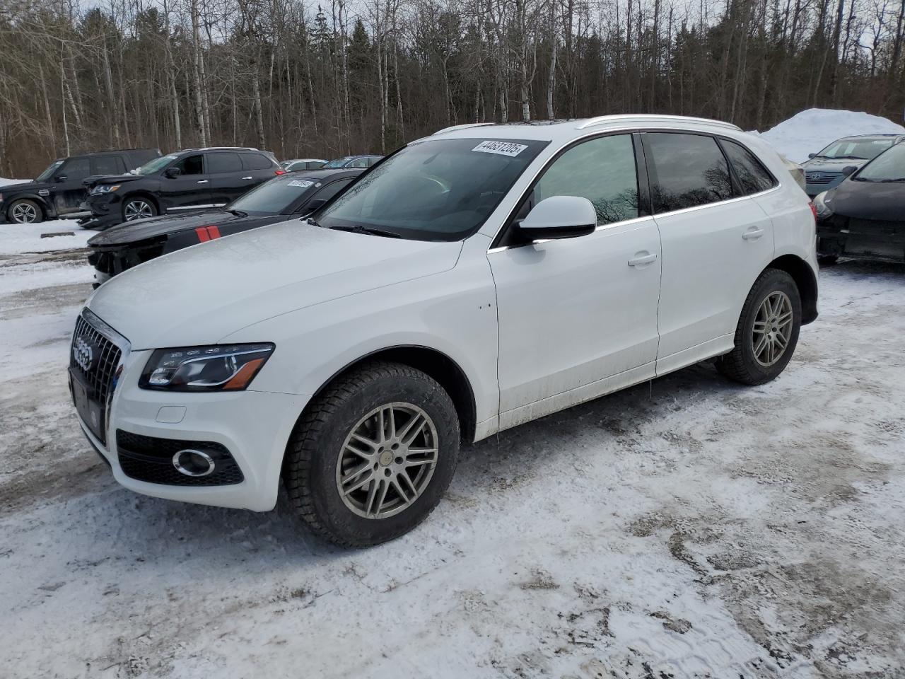 AUDI Q5 PRESTIG 2012