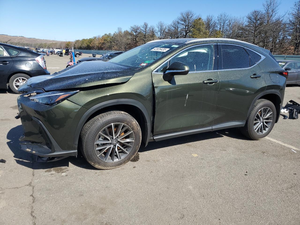 LEXUS NX 2024