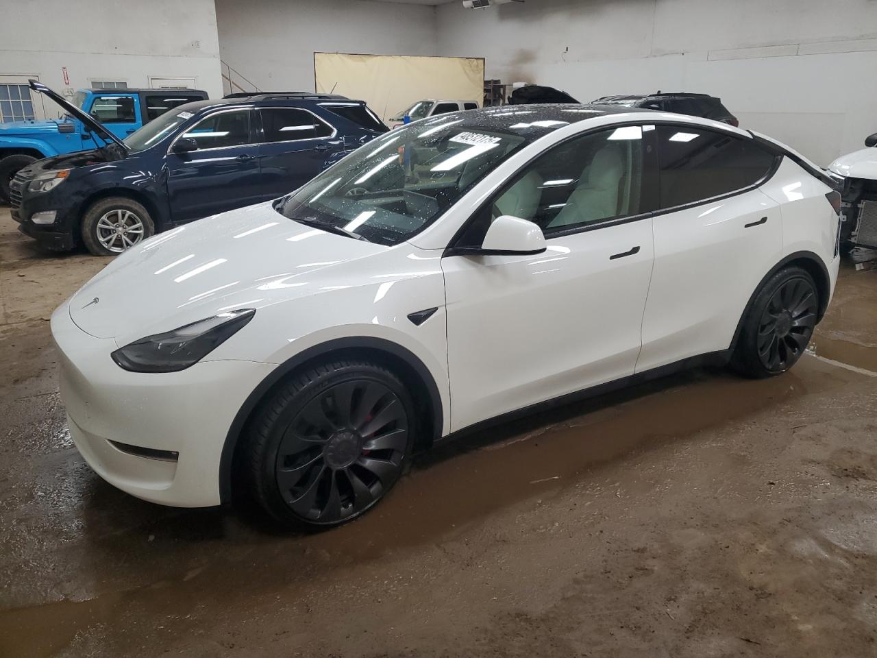 TESLA MODEL Y 2023