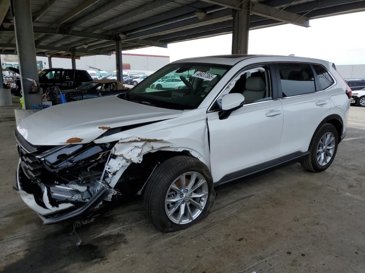 HONDA CR-V EXL 2025