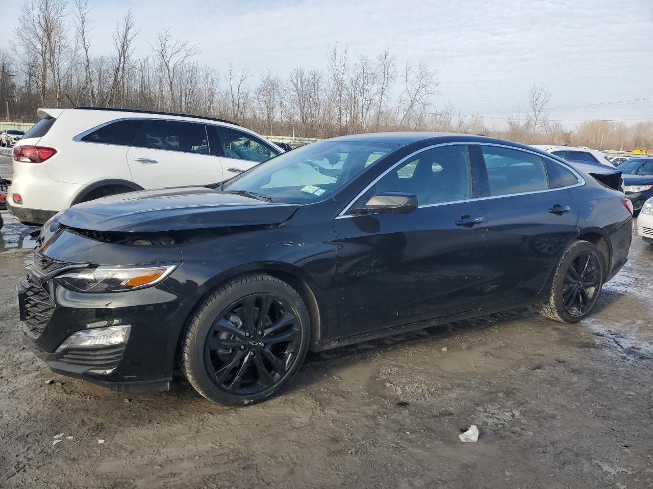 CHEVROLET MALIBU LT 2024