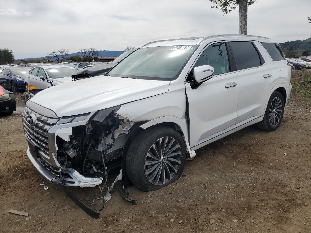 HYUNDAI PALISADE C 2023