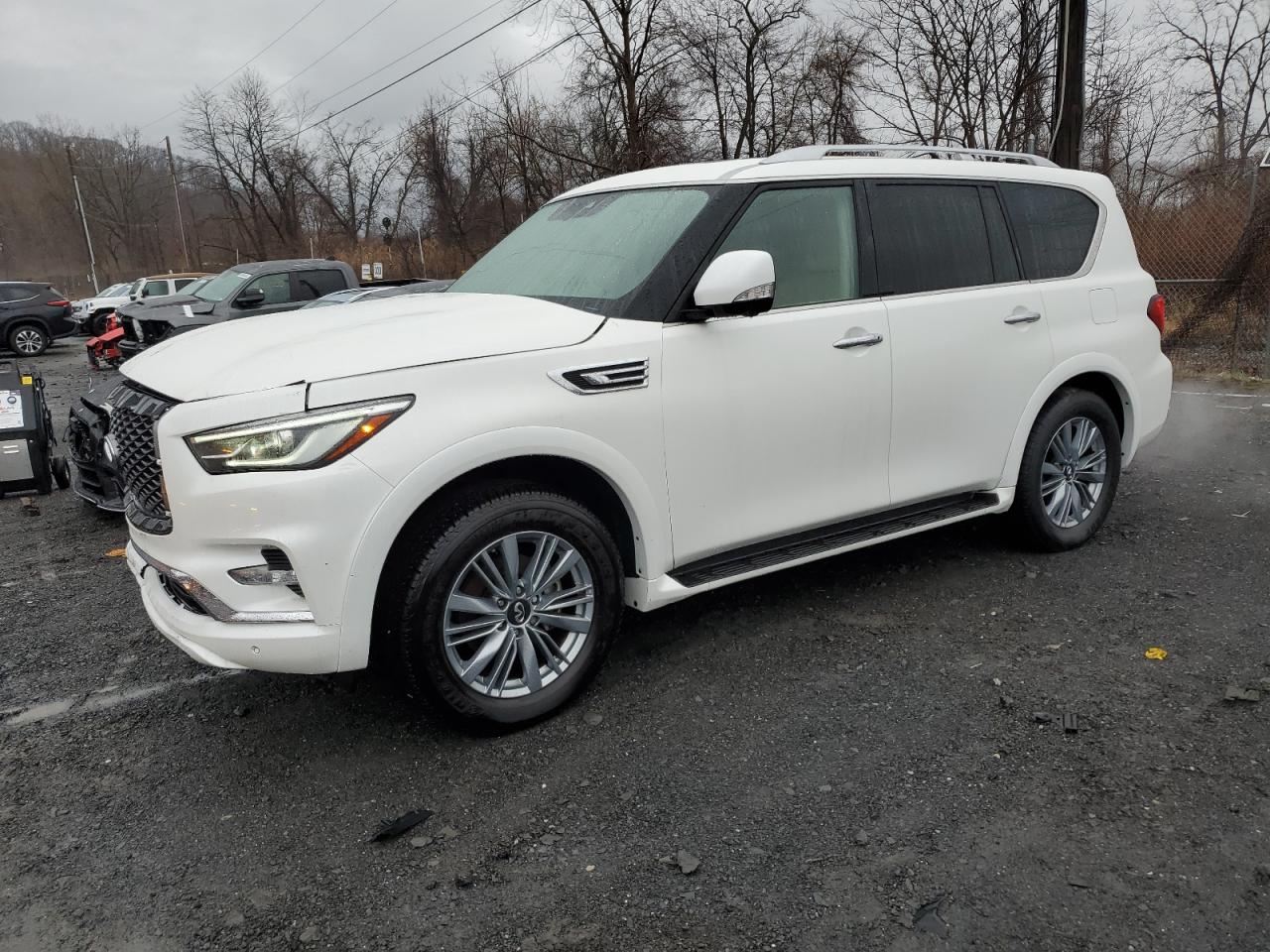 INFINITI QX80 LUXE 2023