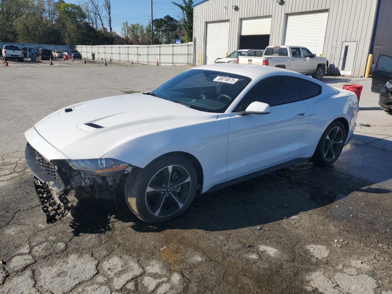 FORD MUSTANG 2019