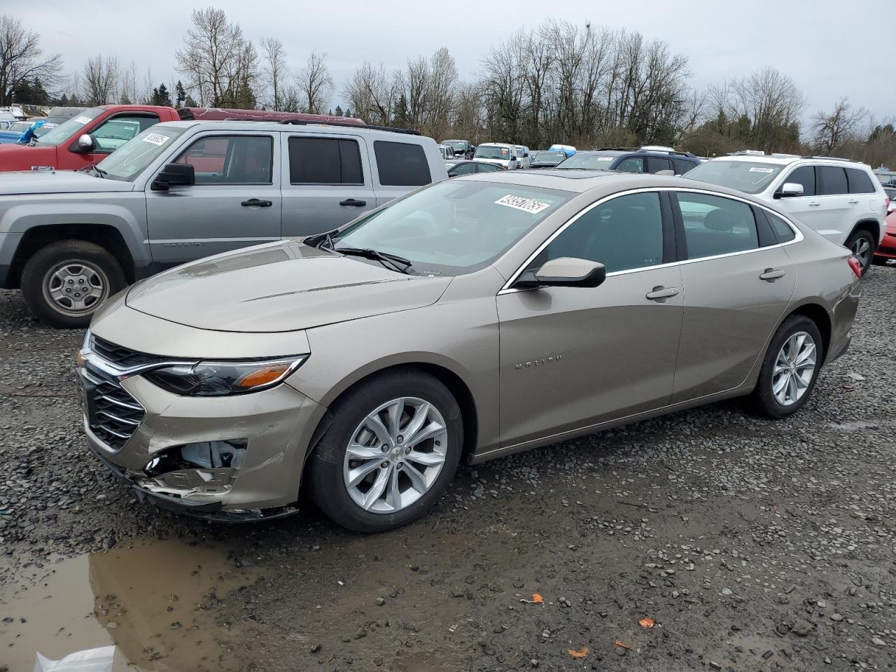 CHEVROLET MALIBU LT 2024