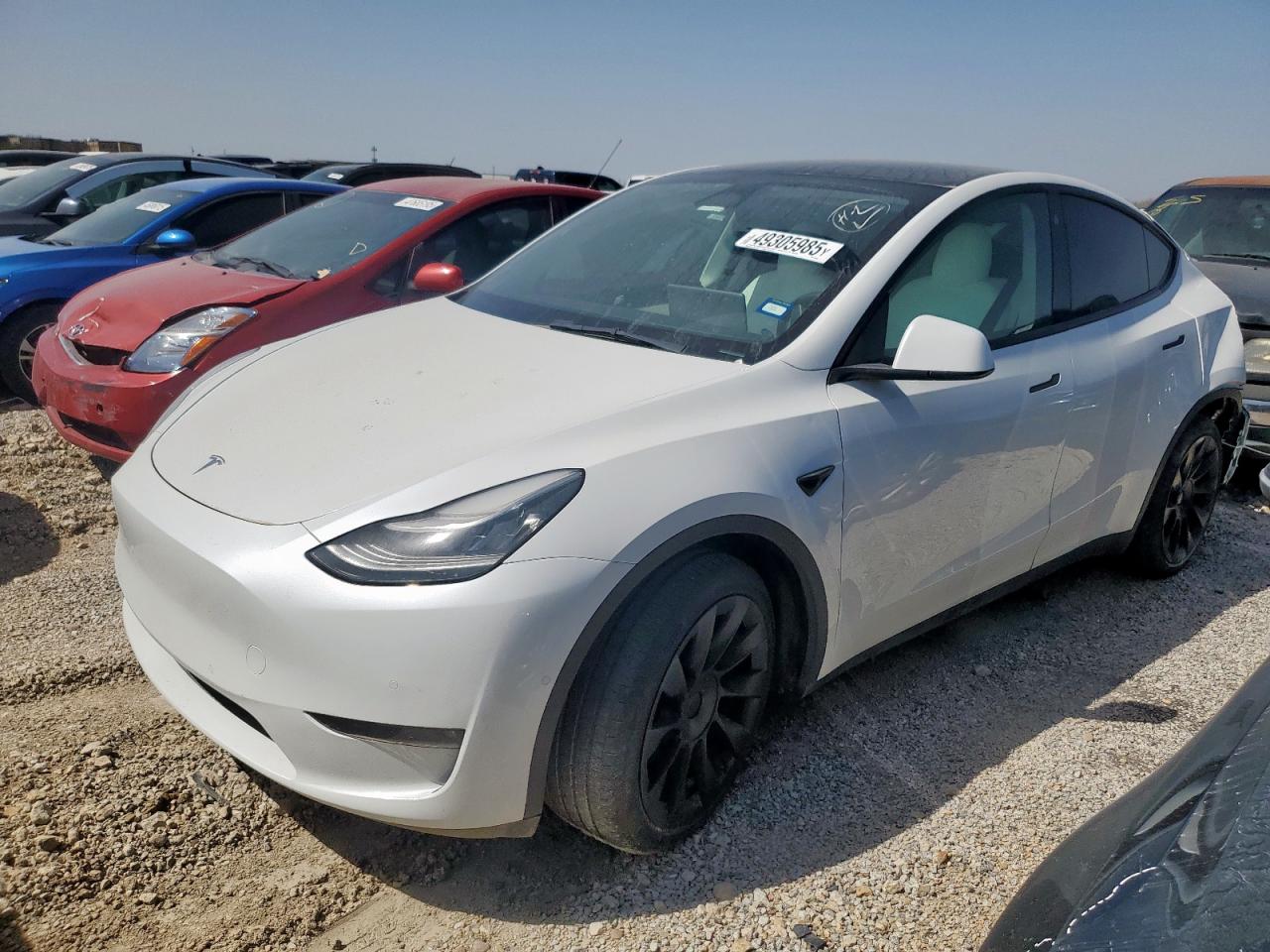 TESLA MODEL Y 2021