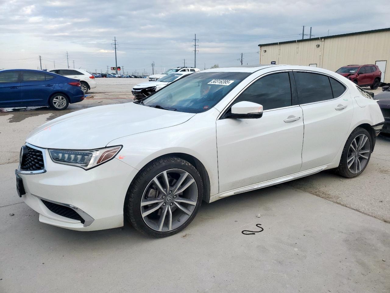 ACURA TLX TECHNO 2020