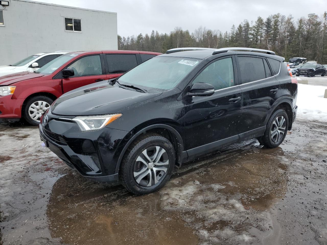 TOYOTA RAV4 LE 2016