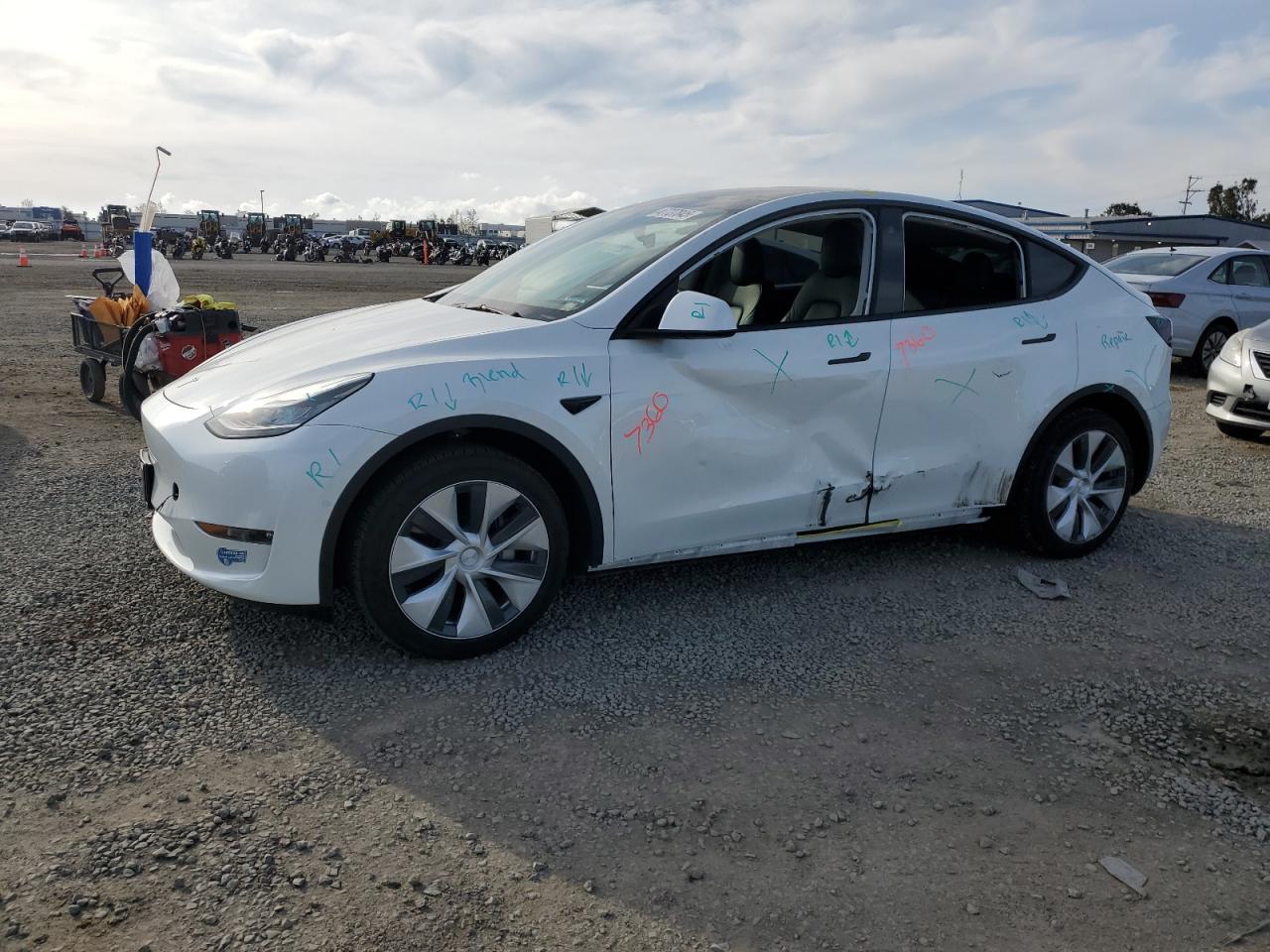 TESLA MODEL Y 2021
