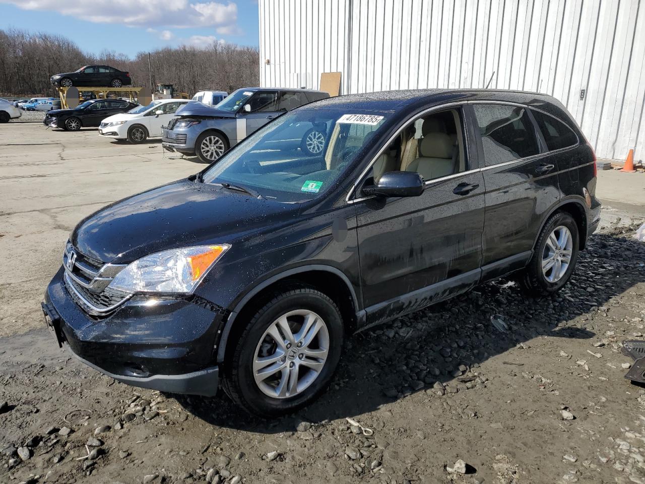 HONDA CR-V EXL 2010