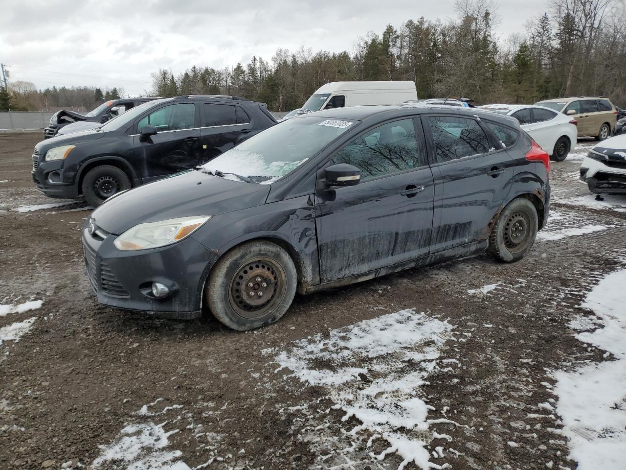 FORD FOCUS SE 2013