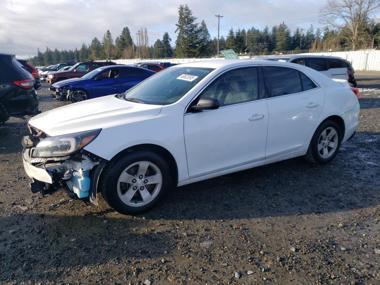 CHEVROLET MALIBU LS 2015
