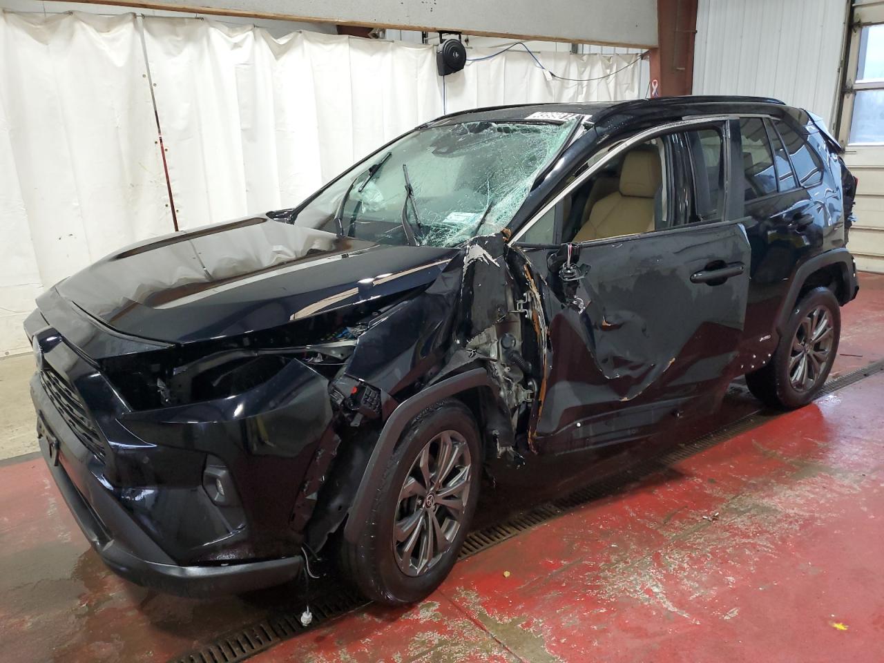 TOYOTA RAV4 XLE P 2023
