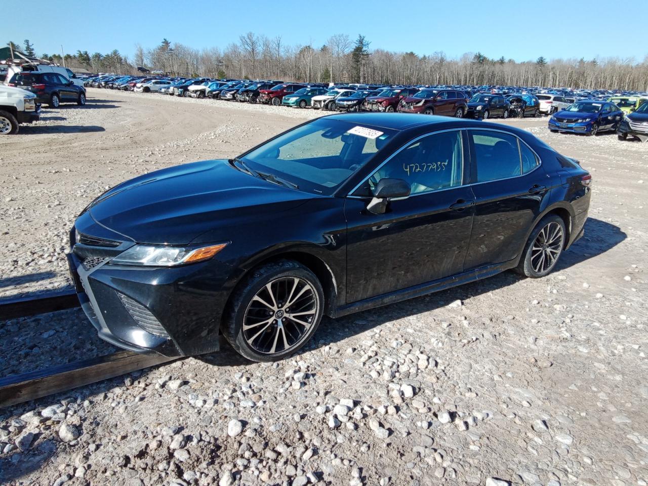 TOYOTA CAMRY L 2019