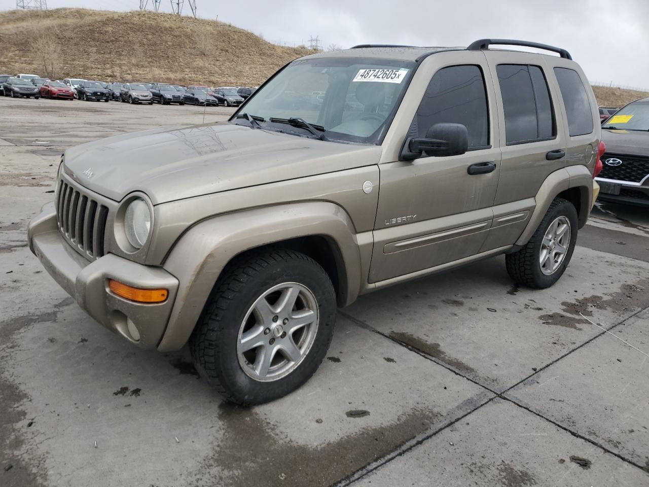 JEEP LIBERTY LI 2004