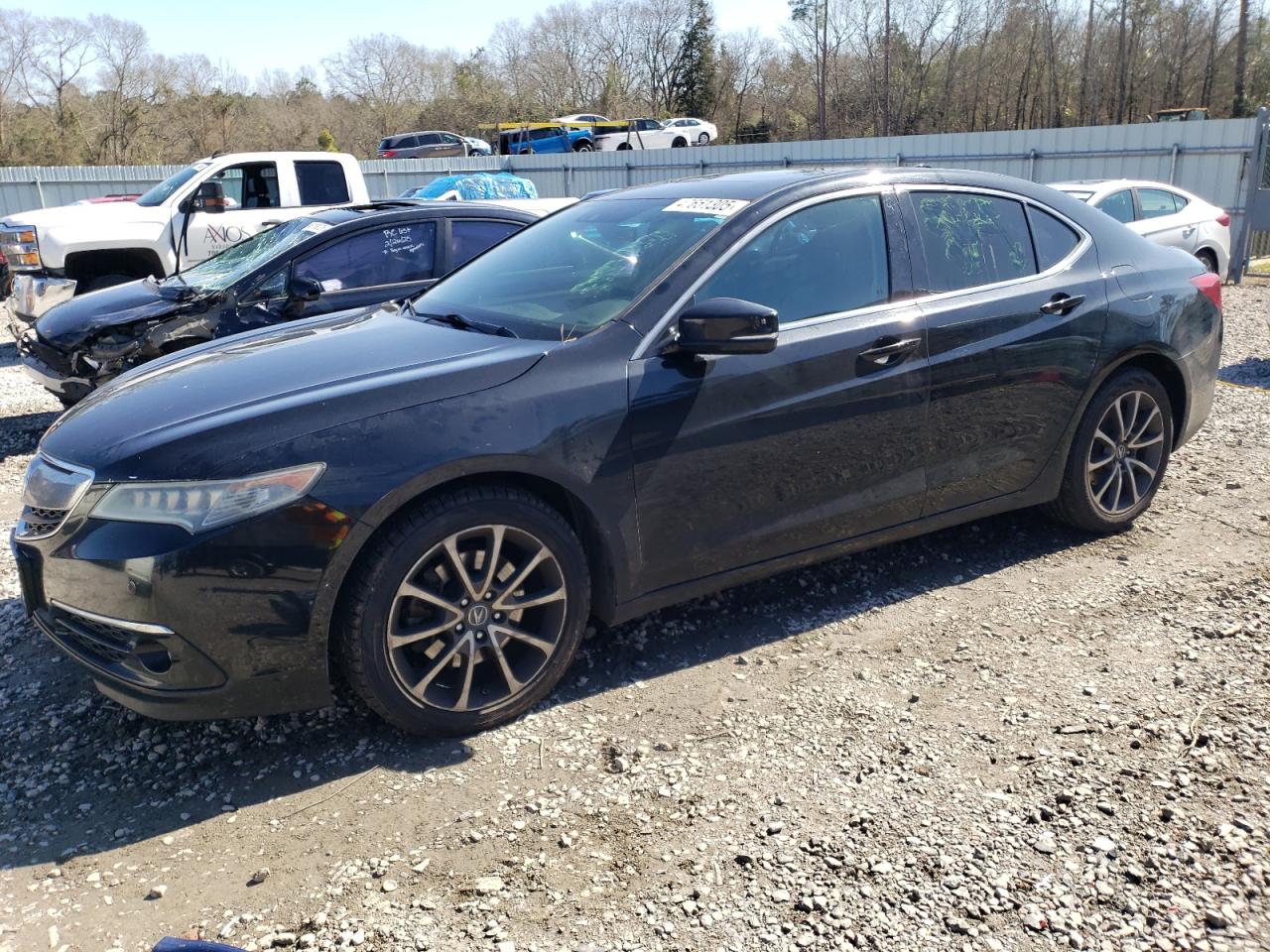 ACURA TLX ADVANC 2015
