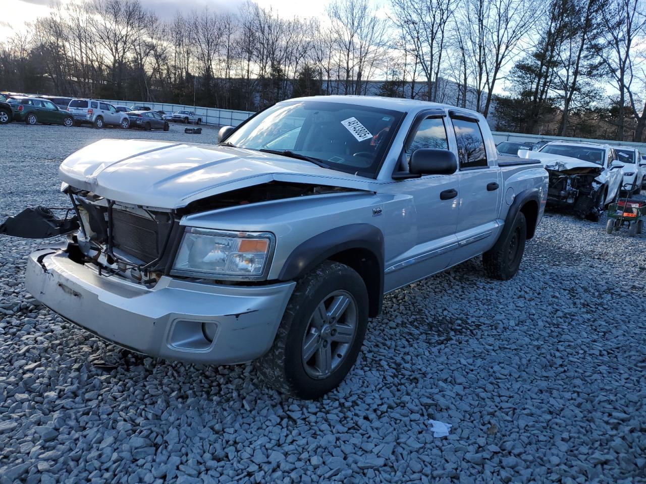 DODGE DAKOTA LAR 2010