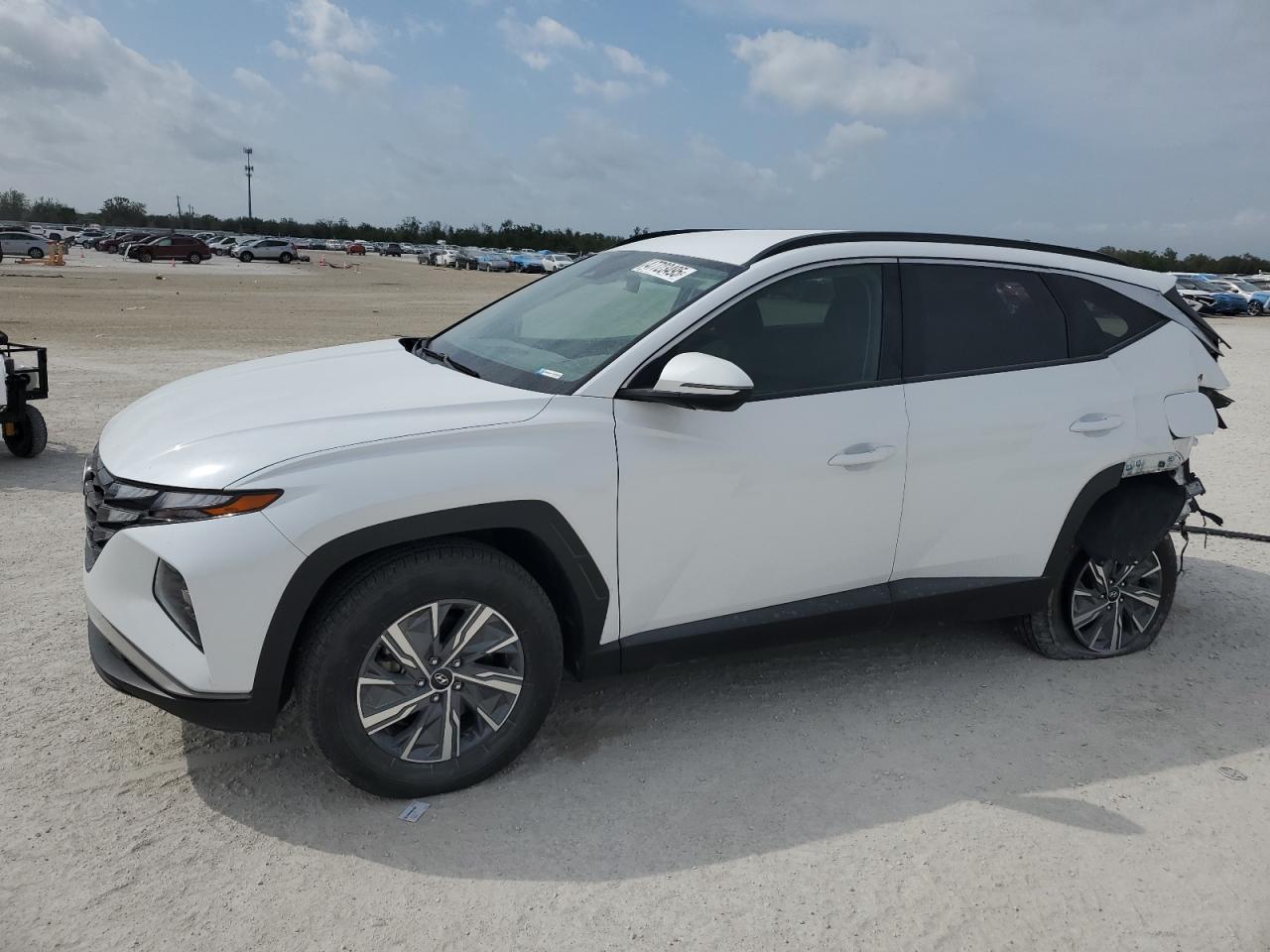 HYUNDAI TUCSON BLU 2023