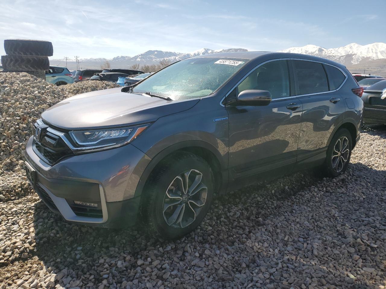 HONDA CR-V EX 2020