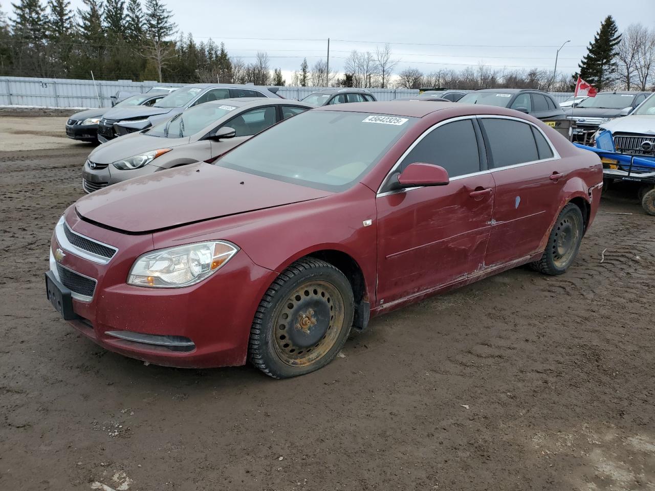 CHEVROLET MALIBU 2LT 2008