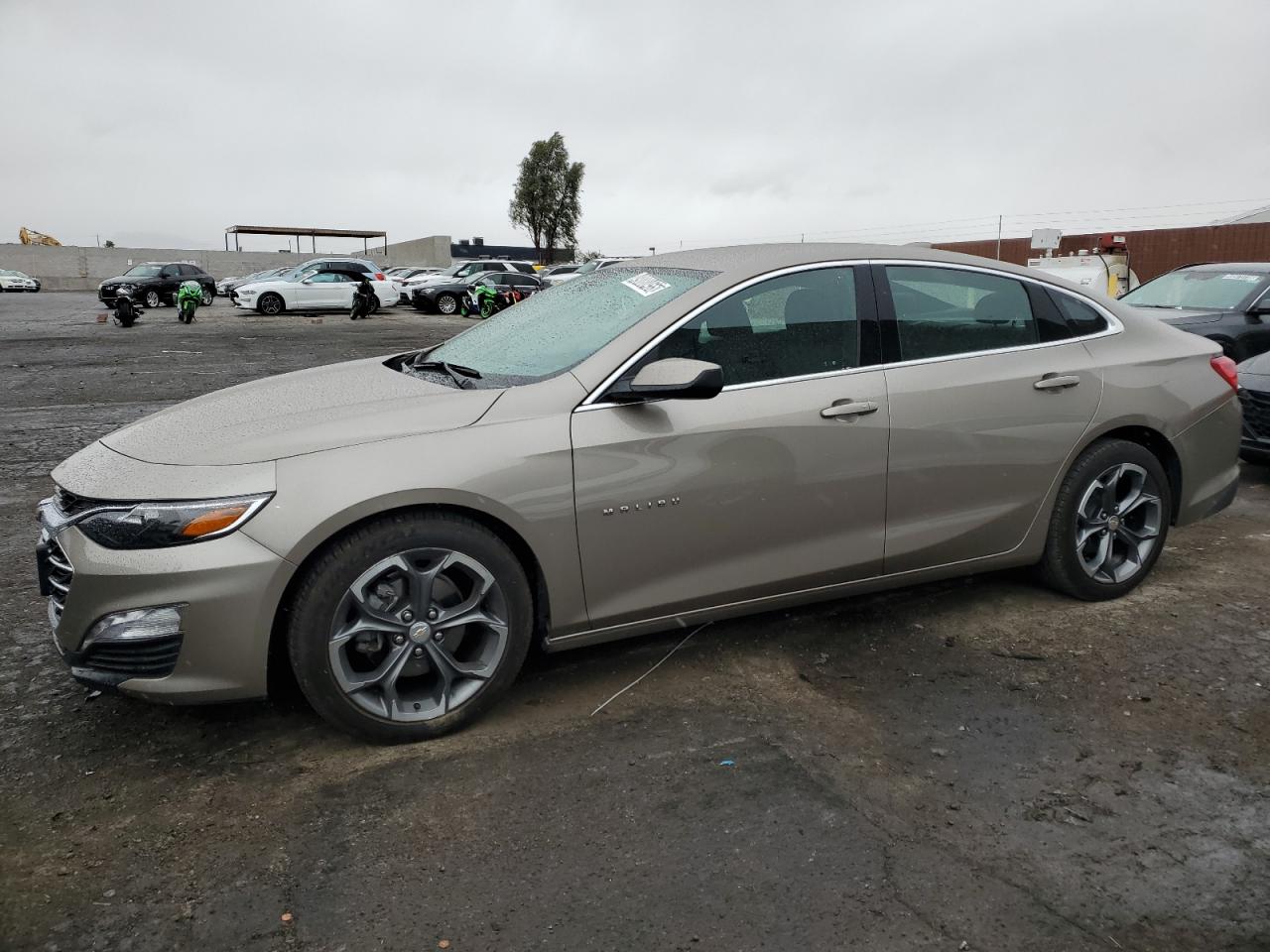 CHEVROLET MALIBU LT 2024