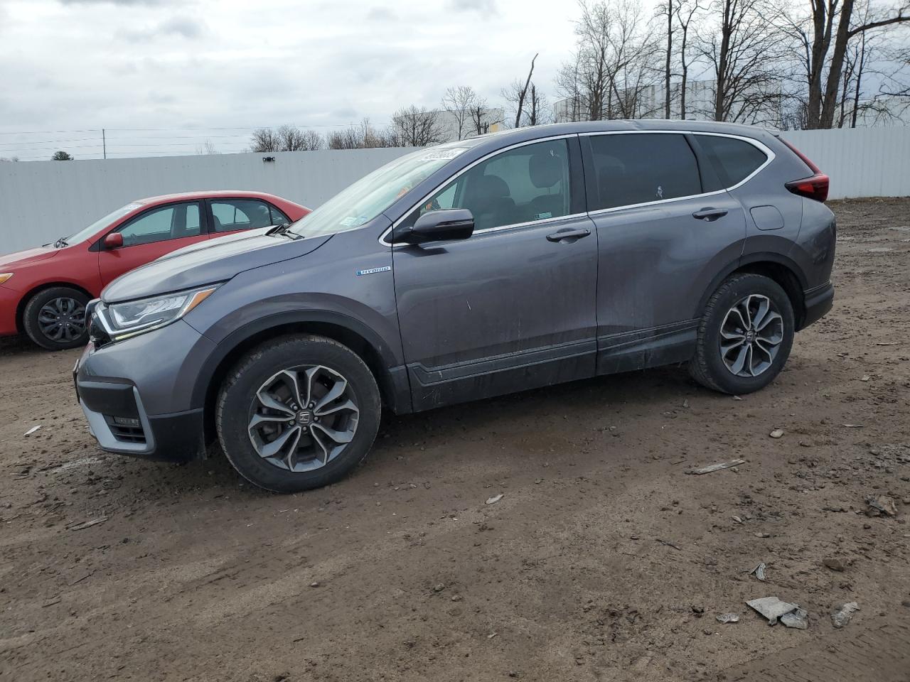 HONDA CR-V EX 2021