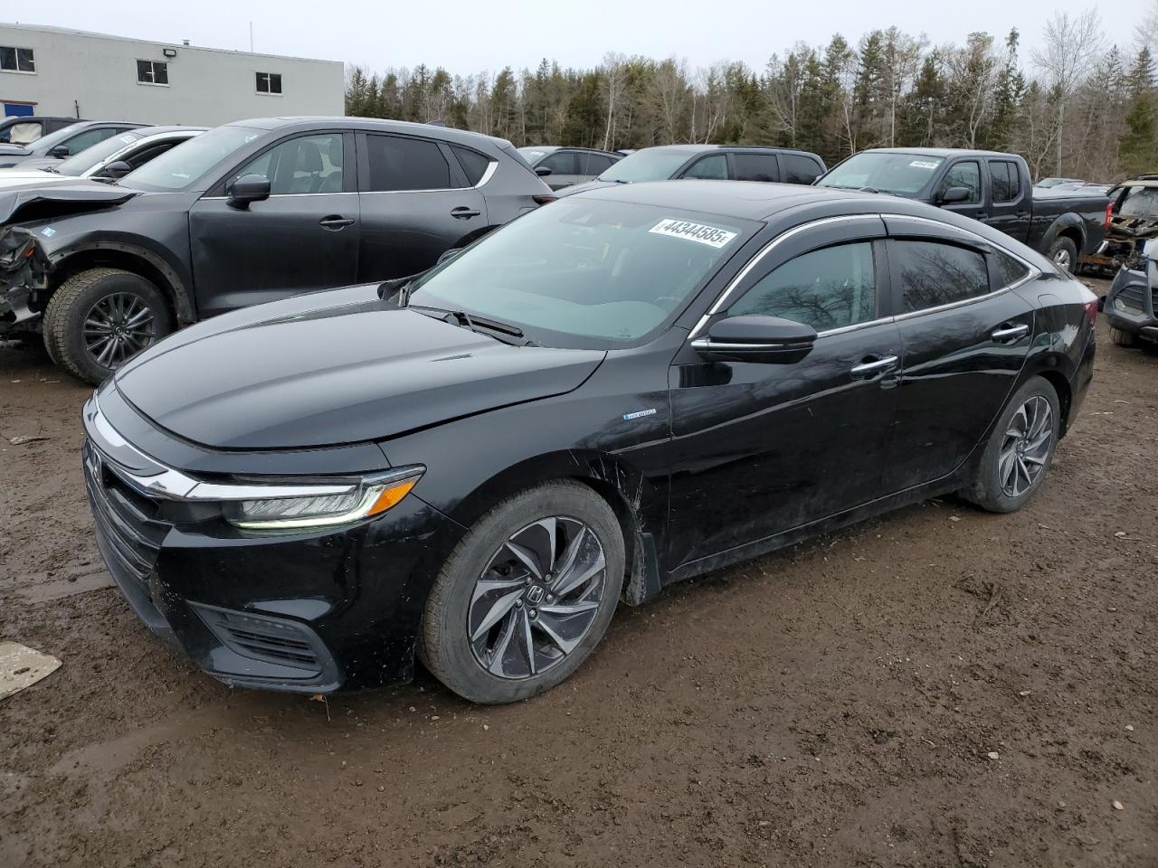 HONDA INSIGHT TO 2019