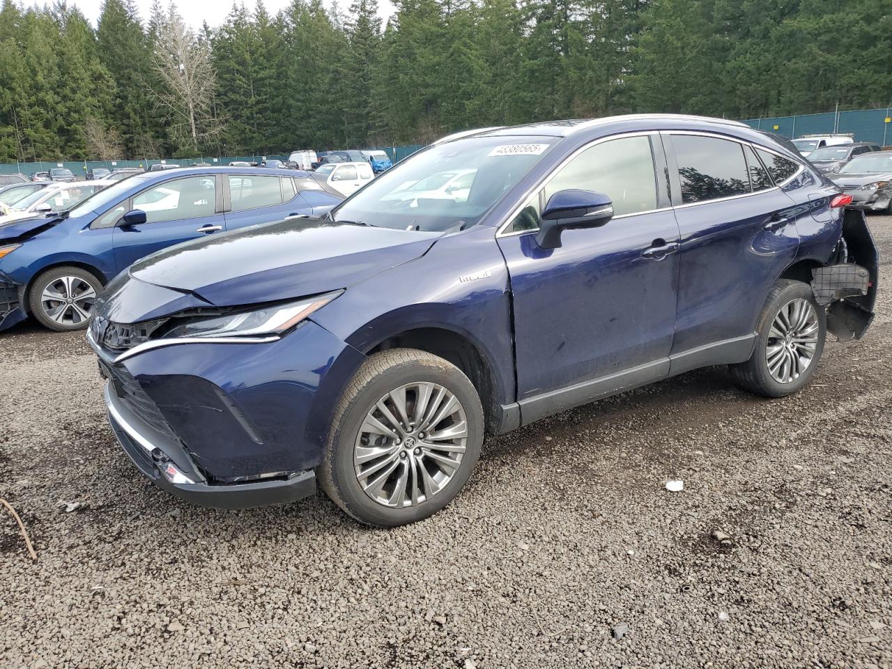 TOYOTA VENZA LE 2021