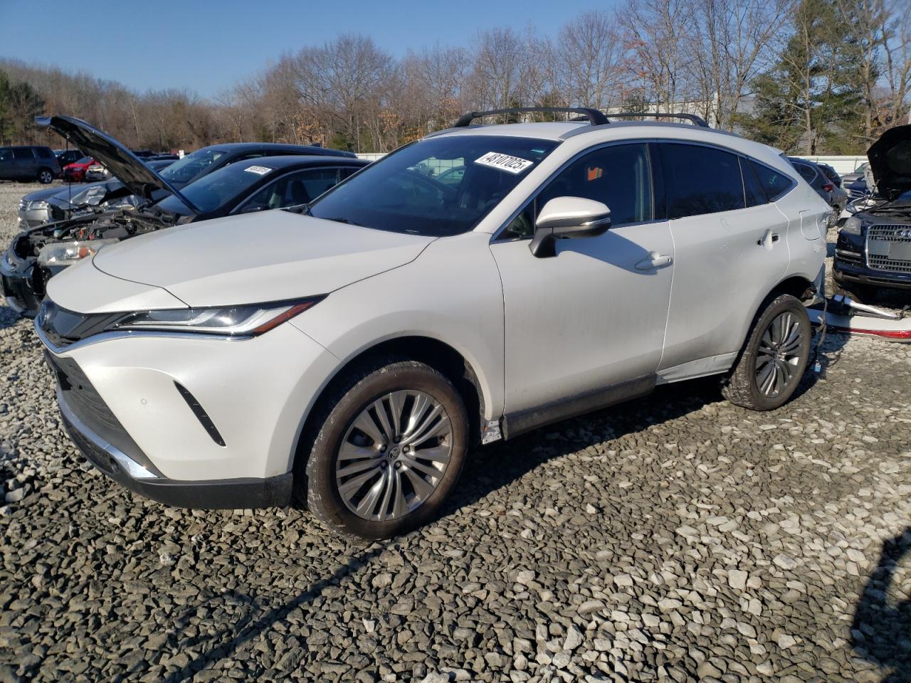TOYOTA VENZA LE 2023
