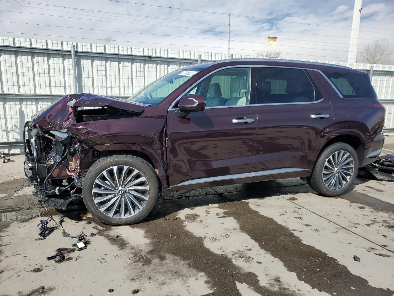 HYUNDAI PALISADE C 2024