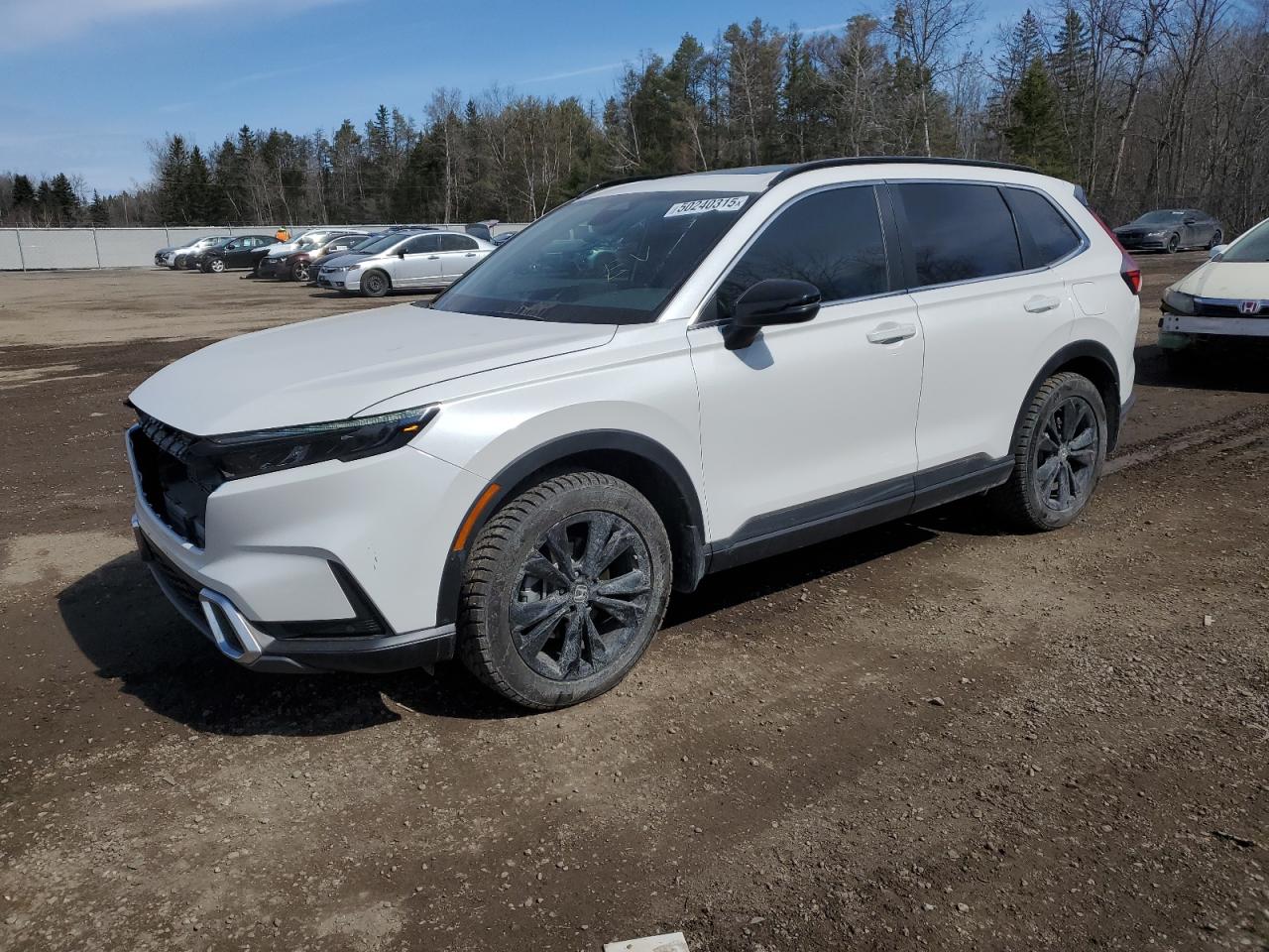 HONDA CR-V SPORT 2024