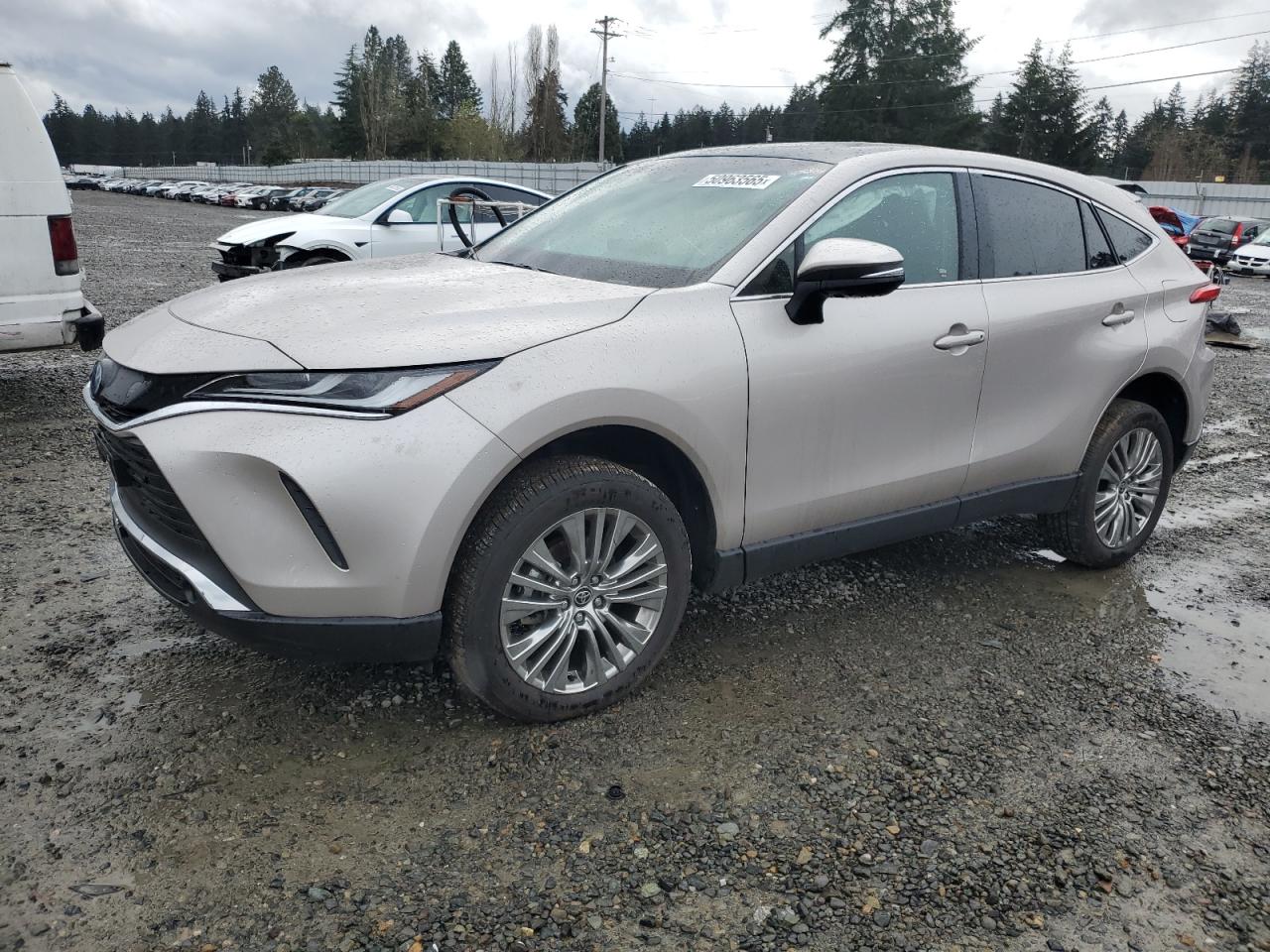TOYOTA VENZA LE 2024
