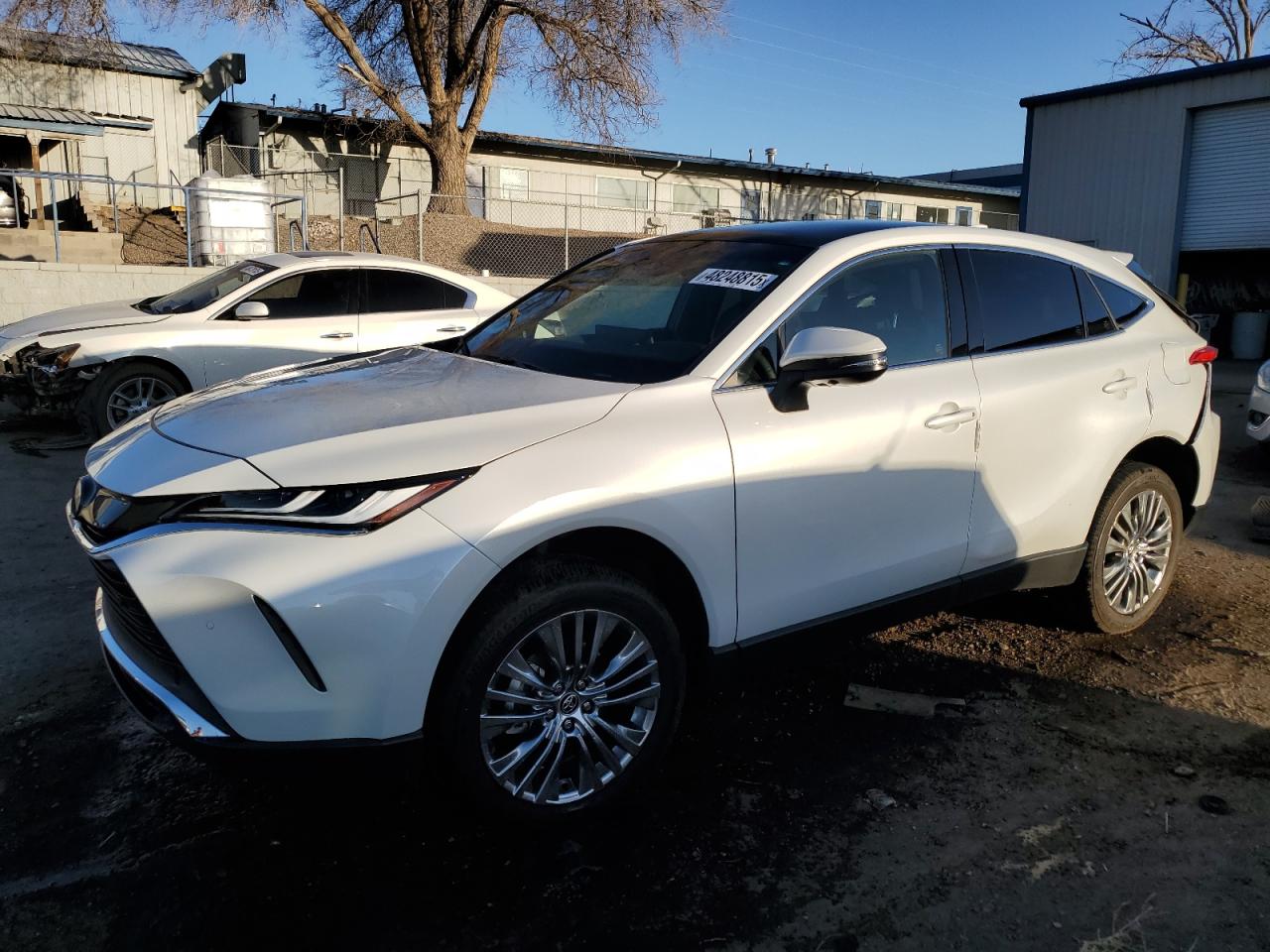 TOYOTA VENZA LE 2024