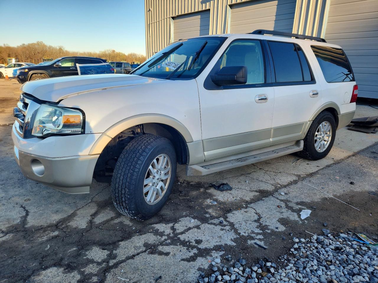 FORD EXPEDITION 2010