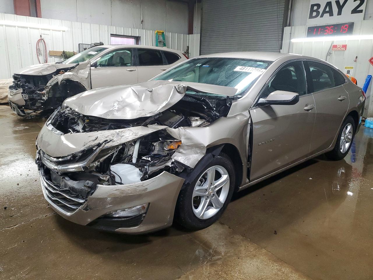 CHEVROLET MALIBU 2024