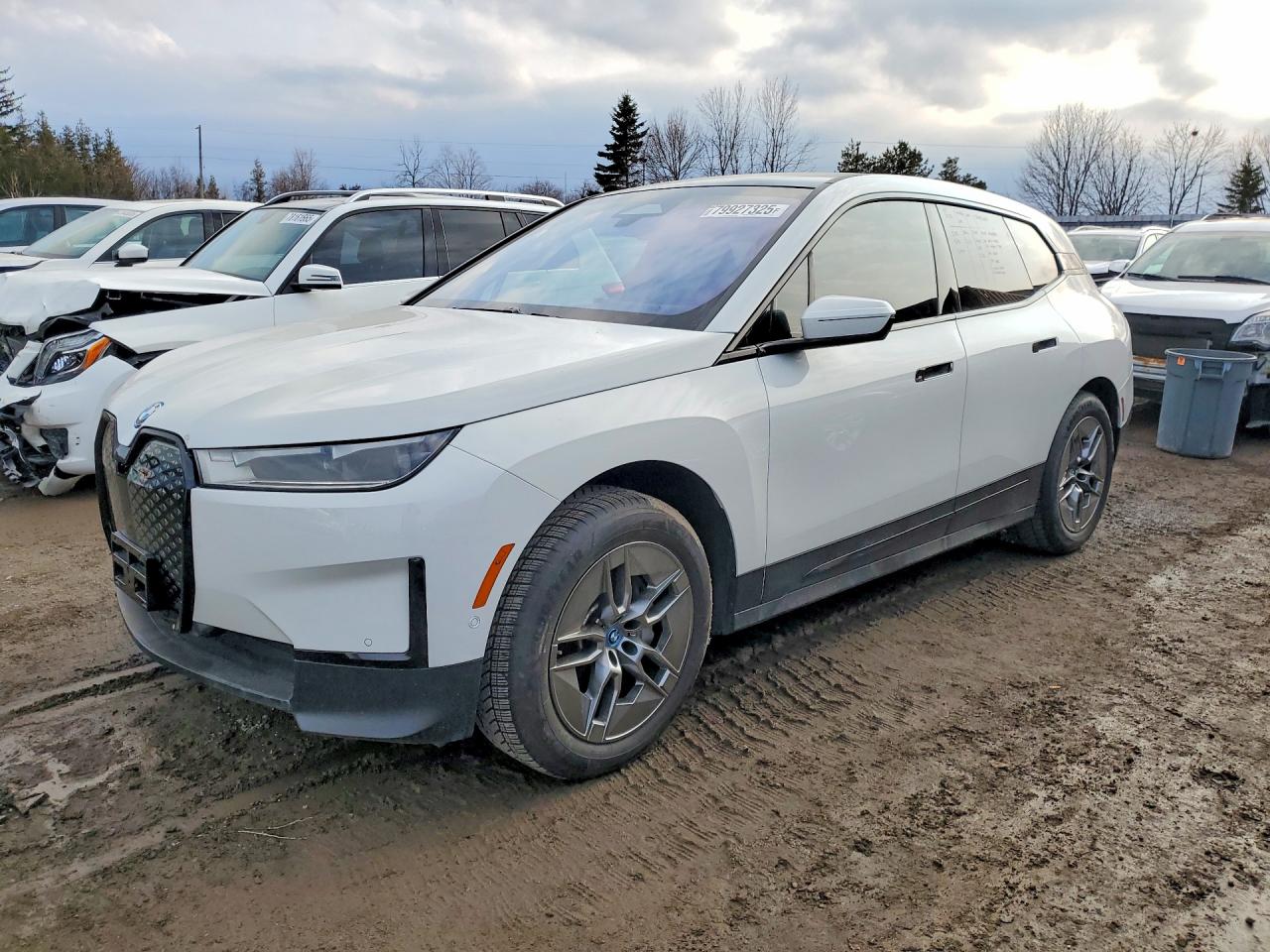 BMW IX 2024