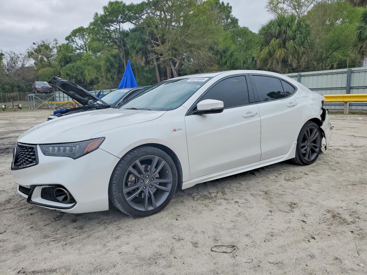 ACURA TLX 2019