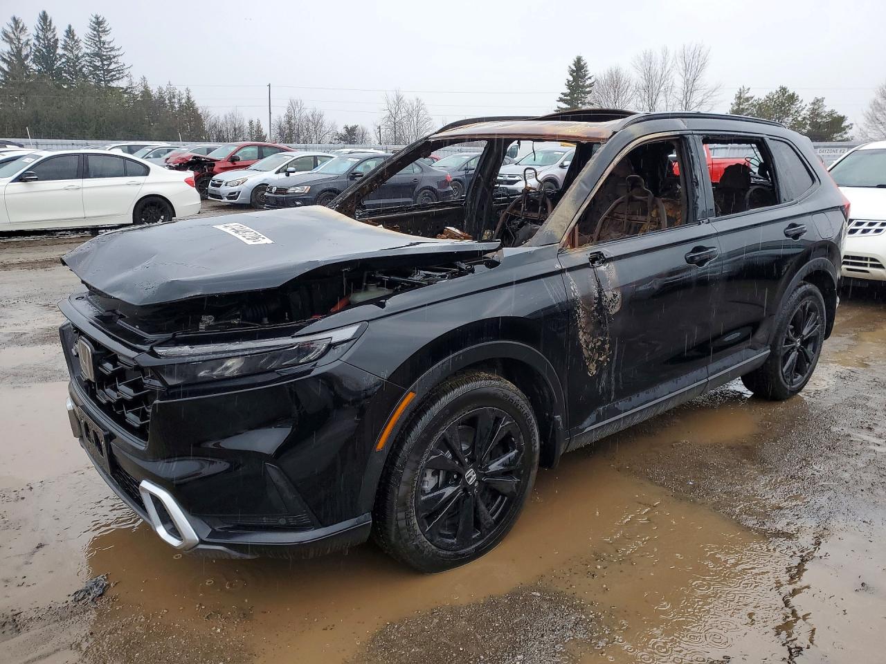 HONDA CR-V 2026